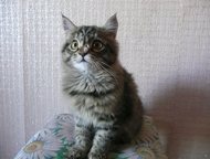             5 . , ,   .,  -  