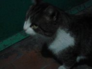     6   46  .   .  , ,  .,  - 