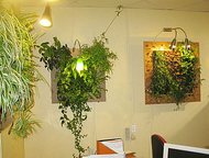 :   Ggreen Art  , ,  ,   , , , , 