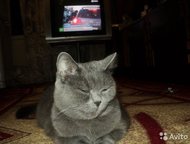 :       ,    sinbad morehod bjuemarins, 3 .   07. 03. 2015.