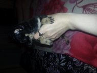 :       .       .    .   .  20