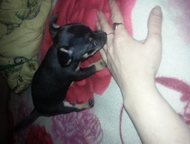       .       .    .   .  20,  -  ,  