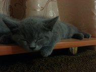 :         ! )        -,     ,   ( 