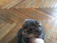         ,   ,   ,      
    ,  -  