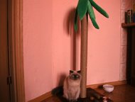                   .,  -   ()