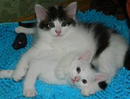      , 2 ,   ,  -  