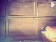    , 1911 .  ,    .   ,  .   .,  - ,  