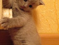     :     2 ,  01. 03. 15    ,      .,  -   