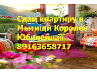  2-, , 44 2,  3/5      2-. . 44 2,  3/5       ,  -  