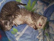     16 ,  , , ,  ,  !,  -    