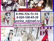  -    -      ,  !
     ,  -  ,  