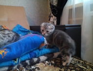          ,   ,   2000,   1   2,   ,  -    