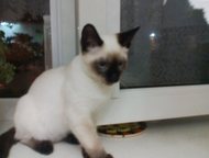 :       3 . , , .     ,     (  ).