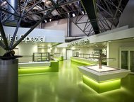 :   Armstrong   Armstrong Marmoretto -        ,   