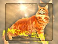       Magic sun       Magic sun ( )   ! 
    ,  -    