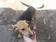    2         89673095421  7000 ,  -  ,  