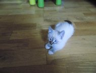      ,  ,   ,  , 3 .   .  . .,  -    