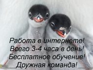 / -     / -.   : , ,  -   