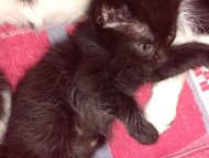 :              ,  , .   ,     .