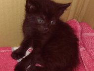              ,  , .   ,     .,  -  