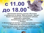   23  2015,        ! 
 
    23      11  18 . ,  -  