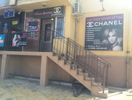    Chanel  1  2015   . 2   , , , , . 
   1 ,  -   