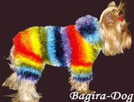 :      Bagira-Dog          .  : , , , 