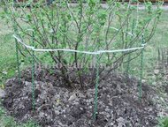 ������� ������� ������� ������� �����������������. 
 ������� ������� �������� ��� ������, ������, ������ � ��. 
 �� ��������� � ��������� (������, ���, ������ - ����������� ������