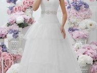     Amelia Sposa      Amelia Sposa.        ,  -  