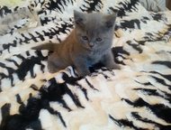        lozovsky.    .    ,  -    