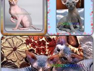 :        AprioriNaked   -  ,    
