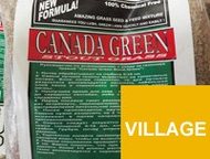 :       canada green premium ()! 
 
    fast start -     = fast st