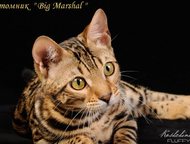 :      Big Marshal  . 
   -     . 
 , 