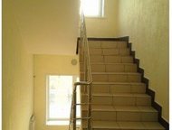    206-207      206-207  . 
   : 31 000 . 
   2: 500 . 
 : 62 2 
,  -  
