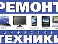      , , .  APPLE.    ,    25.  ,  -    