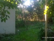 :   .         ,      . 