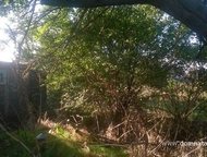 :   .         ,      . 