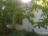 :   .         ,      . 