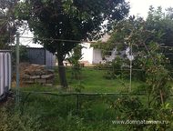 :   .         ,     200 .   . 