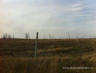 :   .         ,     200 .   . 