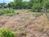 :    .         ,   ׸    