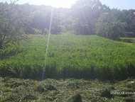   .        ,   ׸  20 .   . ,  -   