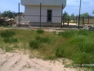 :   .       ,     800 .   . 