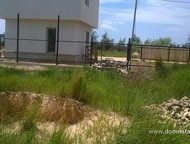   .       ,     800 .   . ,  -   