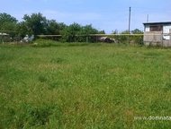 :   .         ,       . 