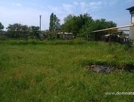 :   .         ,       . 