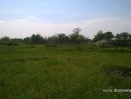 :   .         ,       . 