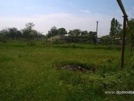 :   .         ,       . 