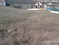   .        ,   ׸  2 . .   . ,  -   