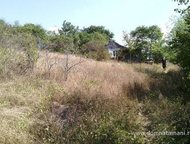 ������: ������������ � ������. ��������� ������� ��� ������������� ���� � ������ �������������, ���������� �� ׸����� ���� 25 ��. ������������ � ������. �����